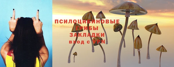 мет Елабуга