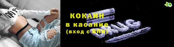 мет Елабуга