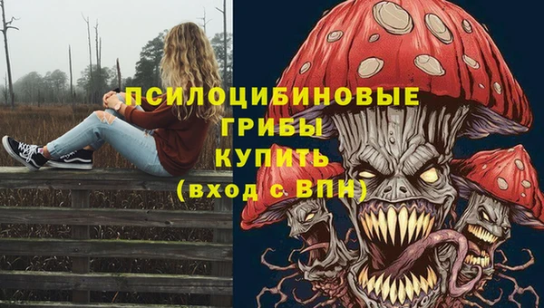 мет Елабуга
