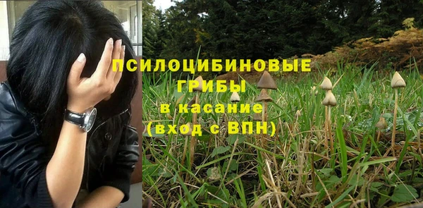 mdpv Ельня