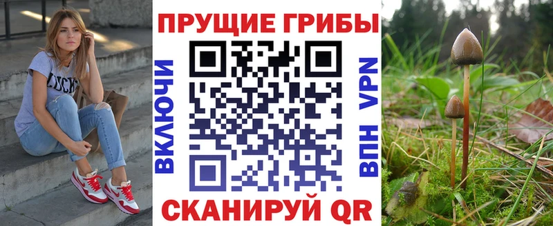 Псилоцибиновые грибы Magic Shrooms  Купить закладки  Карпинск 